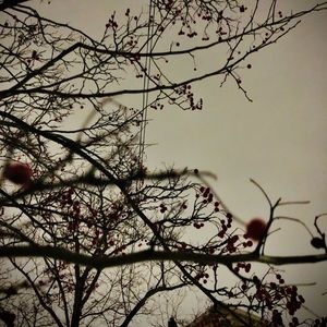 Meet your Posher, Bridgette